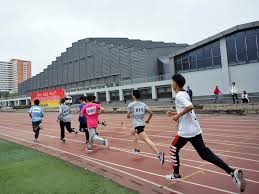 麻将高手真的靠运气吗（麻将高手的胜负真由运气决定吗？）