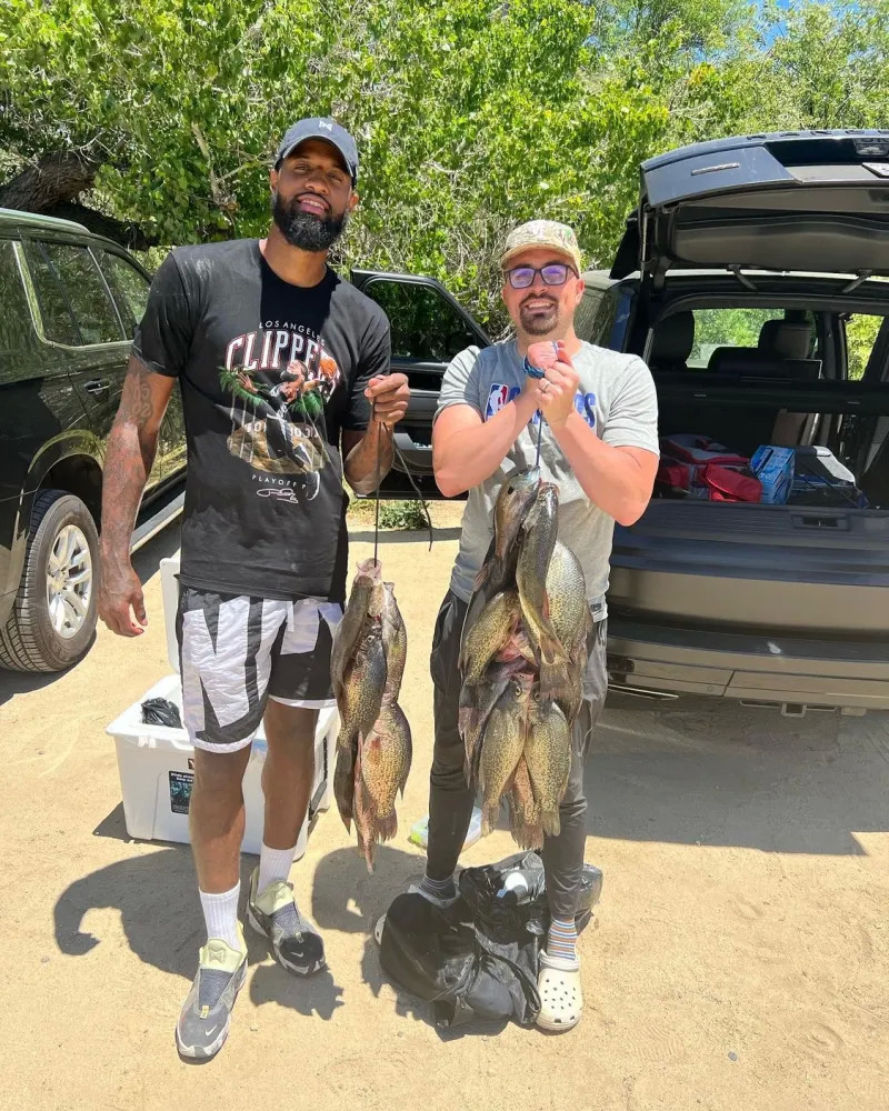 季后赛中被 季后赛中被