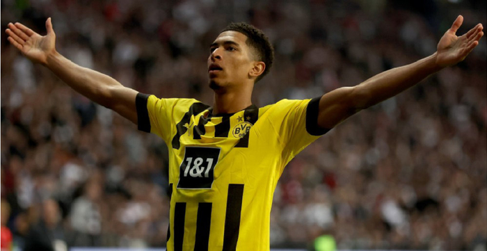 可以预见 可以预见